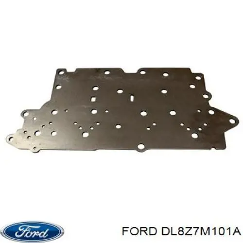 DY1253 Ford