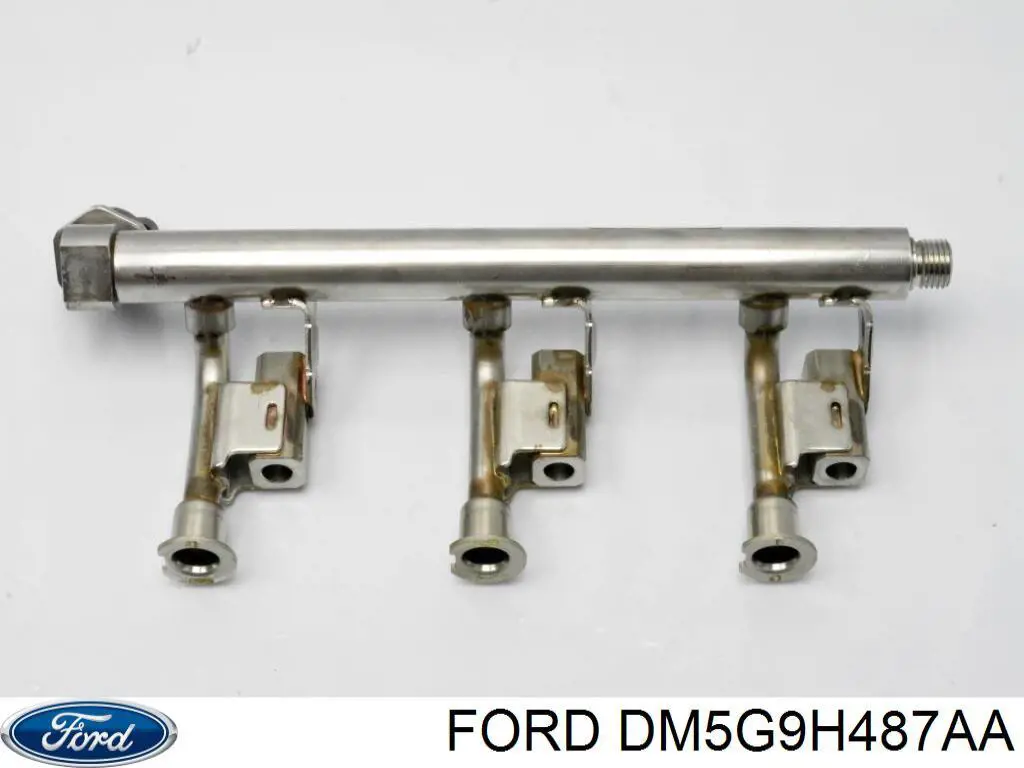 Распределитель топлива (рампа) 1798431 Ford