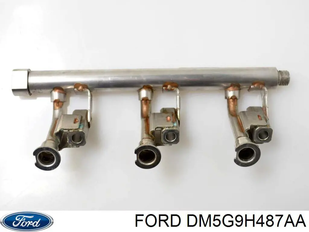 DM5G9H487AA Ford distribuidor de combustível (rampa)