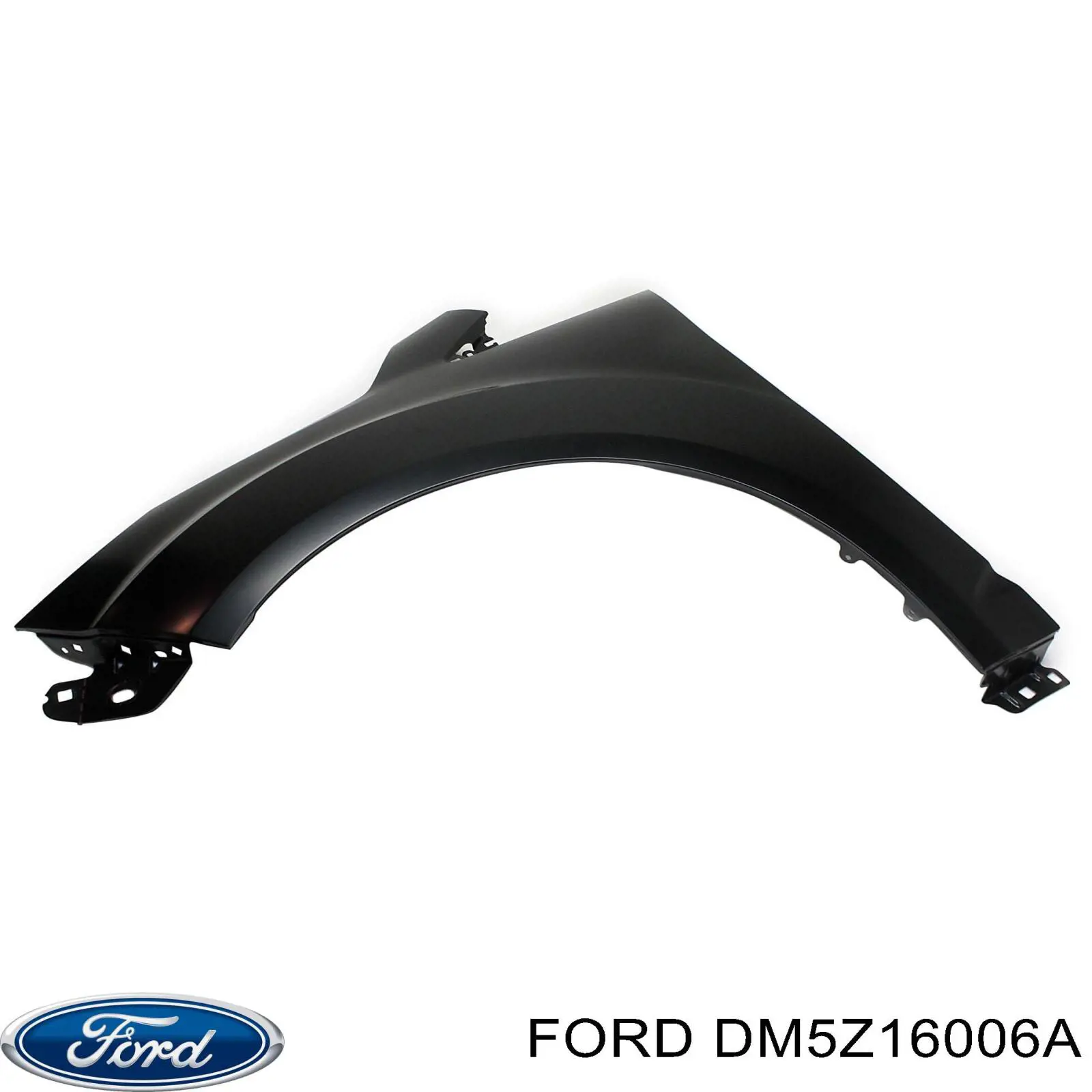 DM5Z16006A Ford