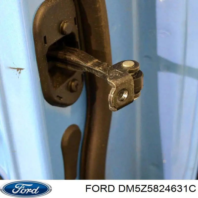 Купить DM5Z5824631A Ford Дверь задняя