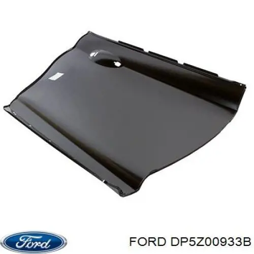  DP5Z00933B Ford