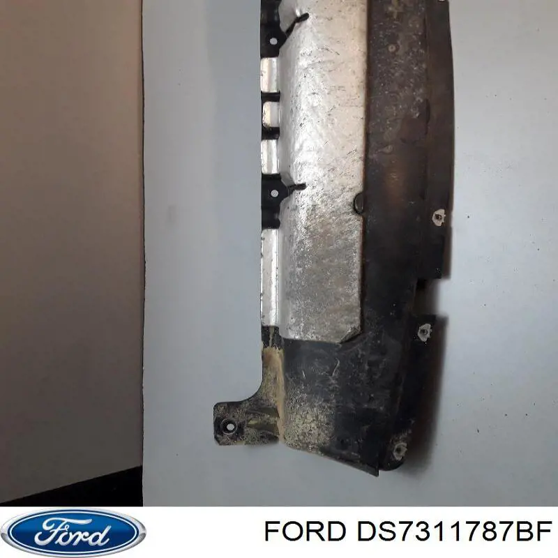  DS7311787BF Ford