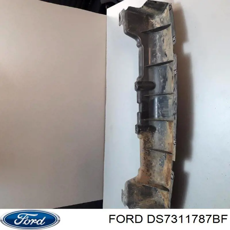 DS7311787BF Ford 