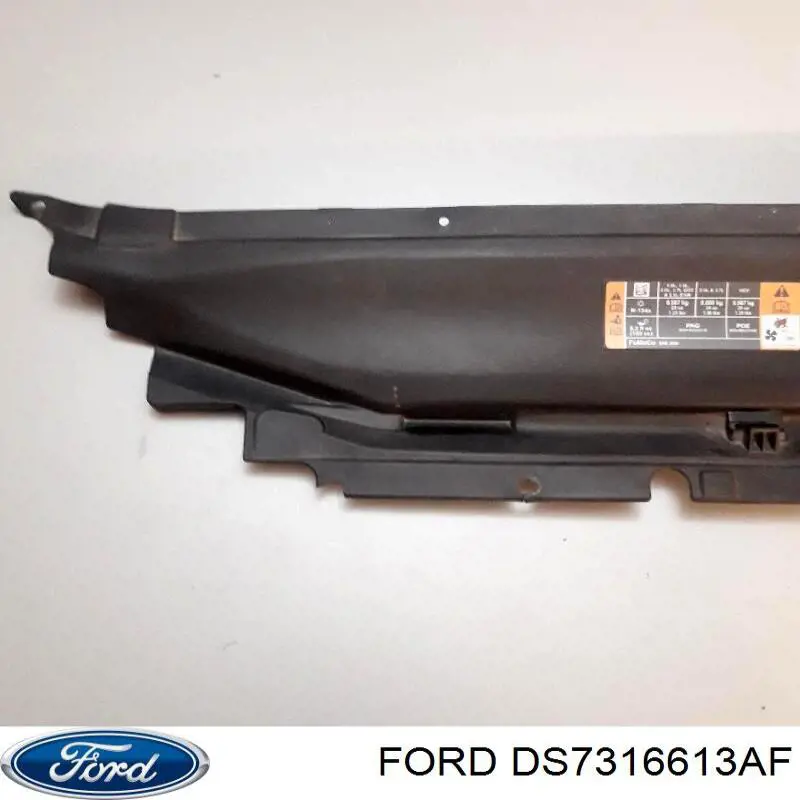  DS7316613AF Ford