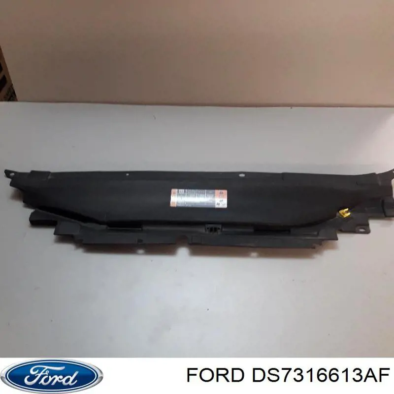 Купить DS7316613AF Ford 