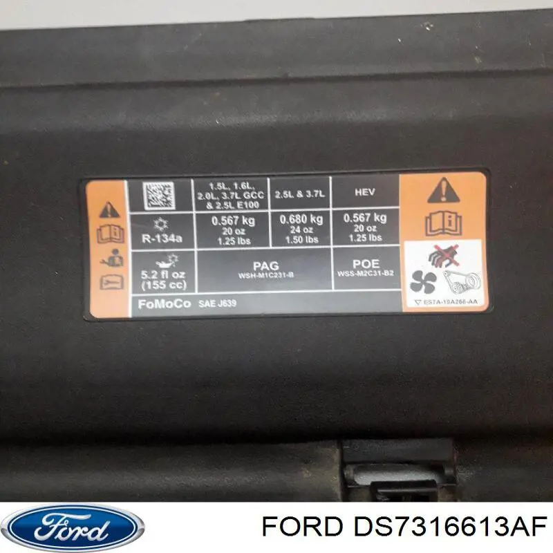  DS7316613AF Ford