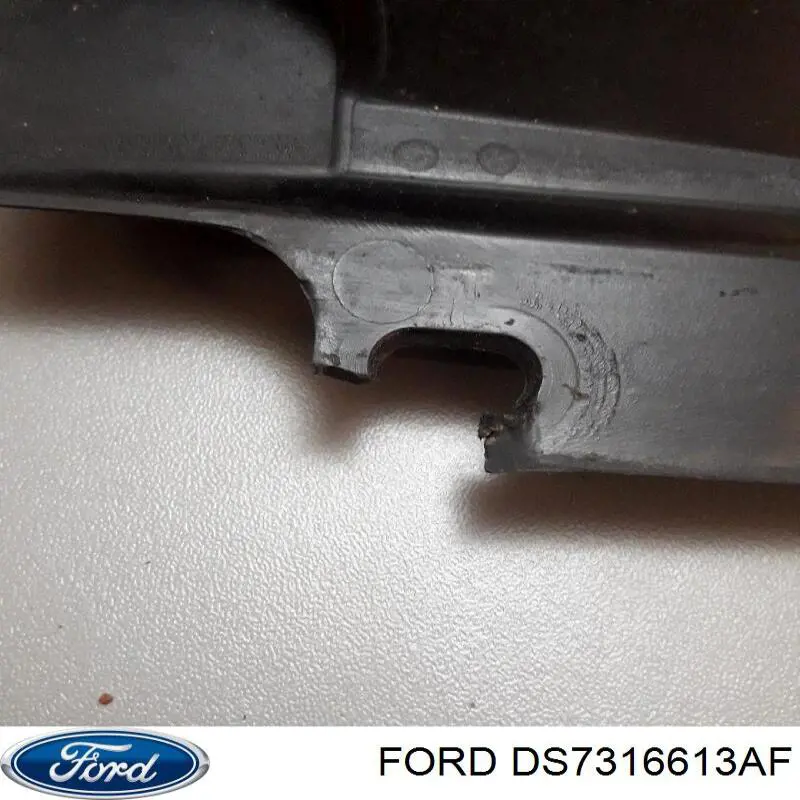 DS7316613AF Ford 