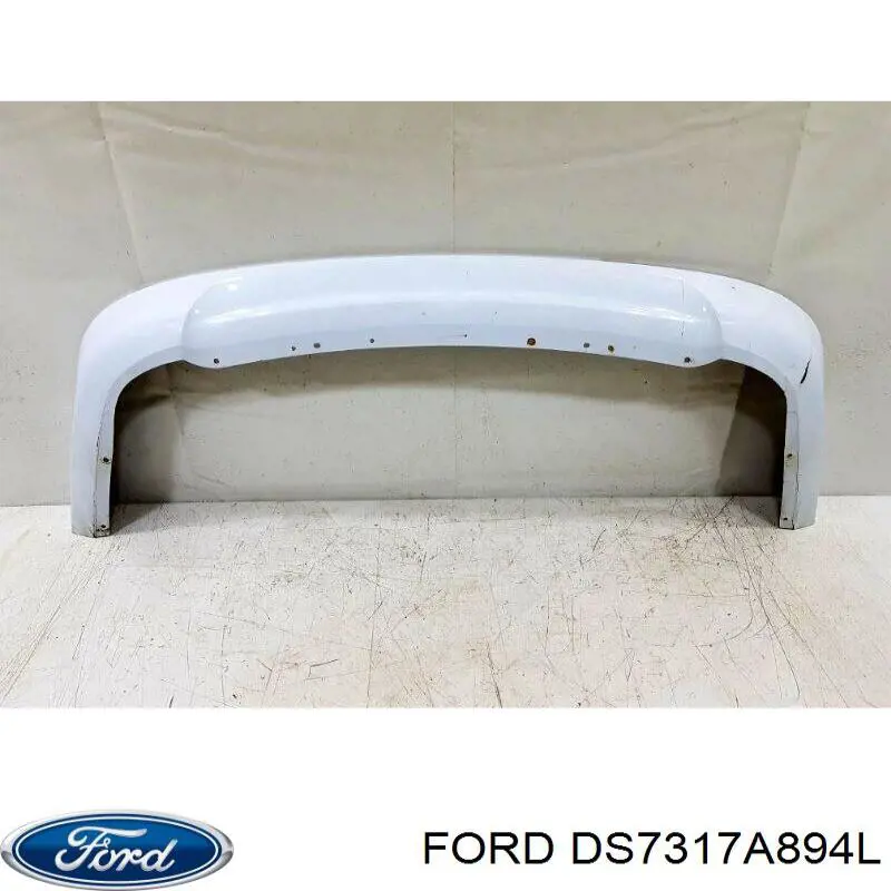  DS7317A894L Ford