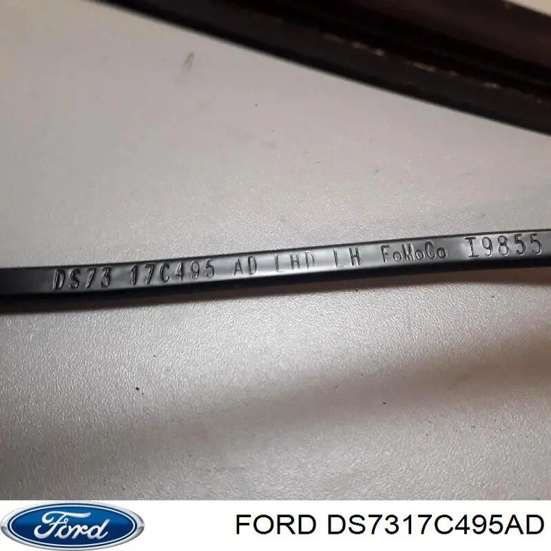 DS7317C495AD Ford 