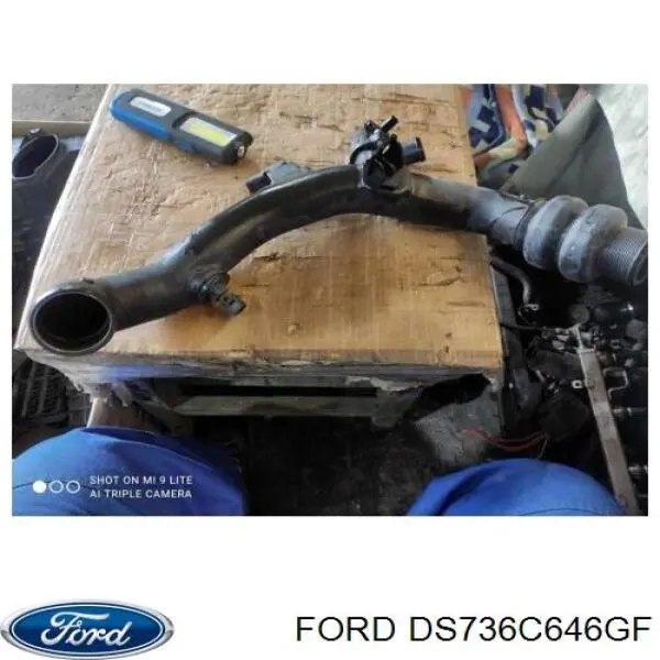 DS736C646GF Ford 