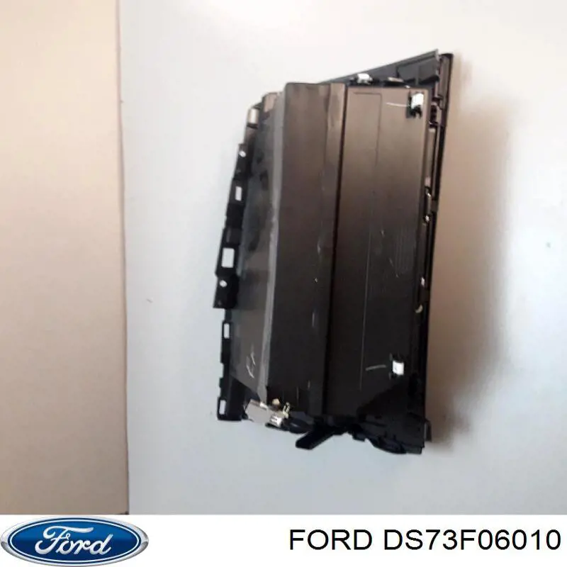 DS73F06010 Ford 