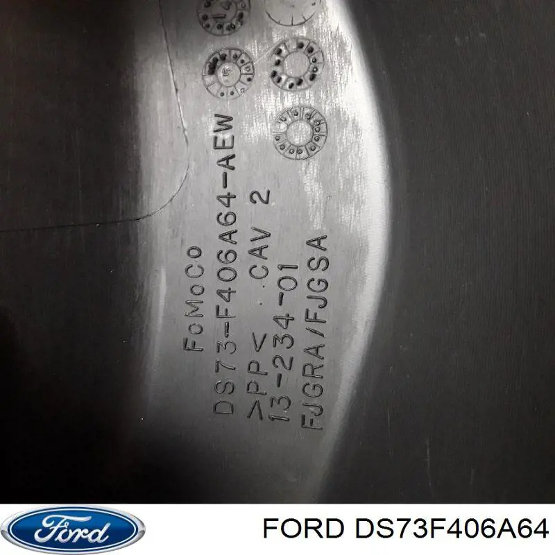 DS73F406A64 Ford 