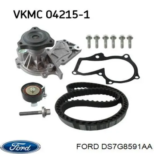 DS7G8591AA Ford помпа