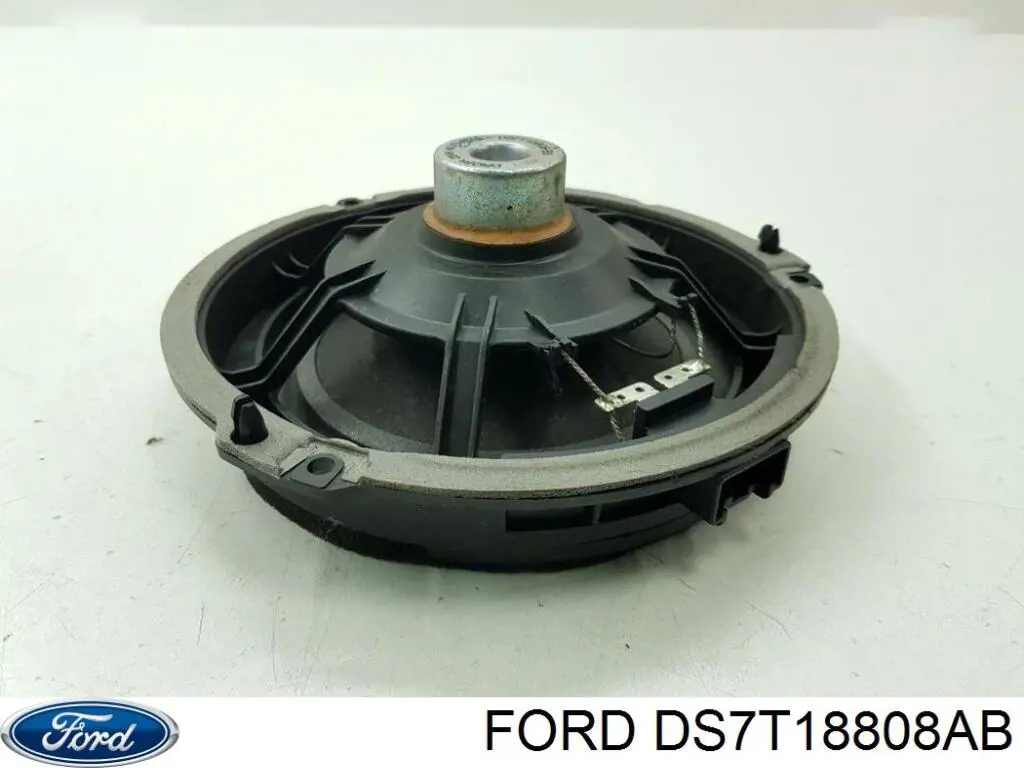DS7T18808AB Ford 