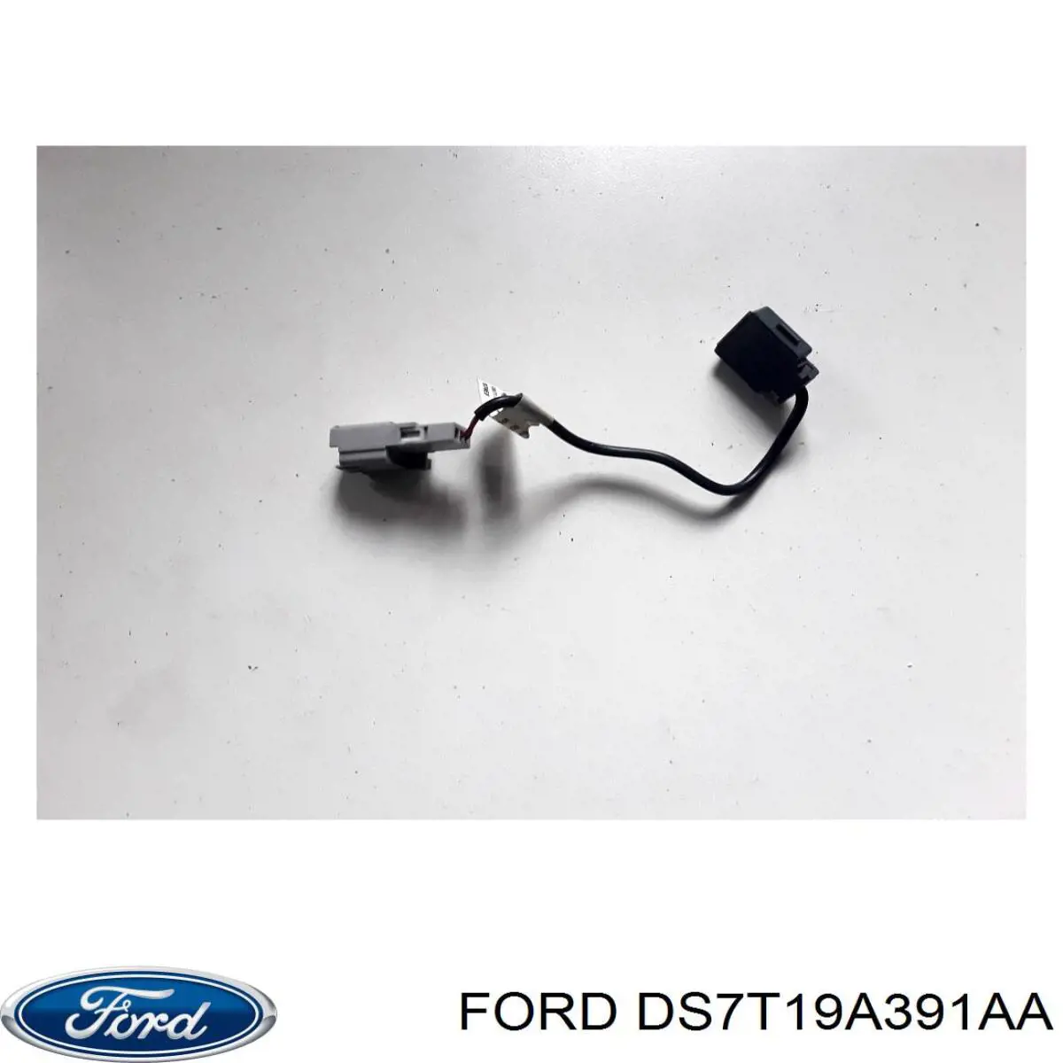  DS7T19A391AA Ford