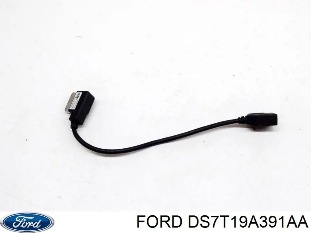  DS7T19A391AA Ford