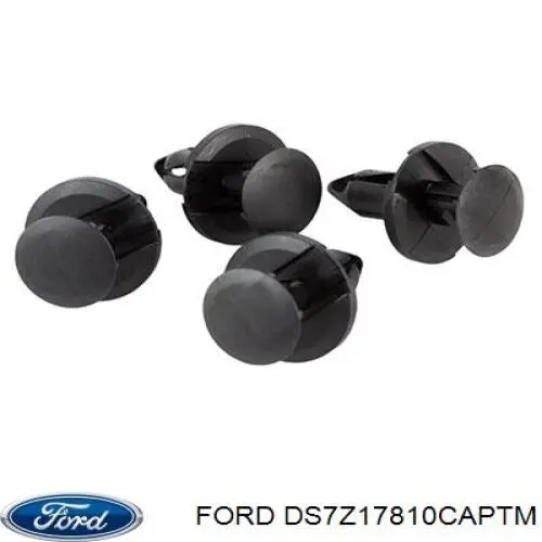  DS7Z17810CAPTM Ford