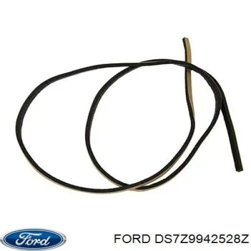  DS7Z9942528Z Ford