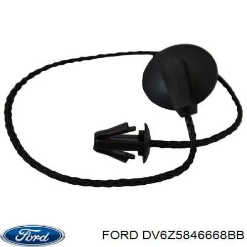  DV6Z5846668BB Ford