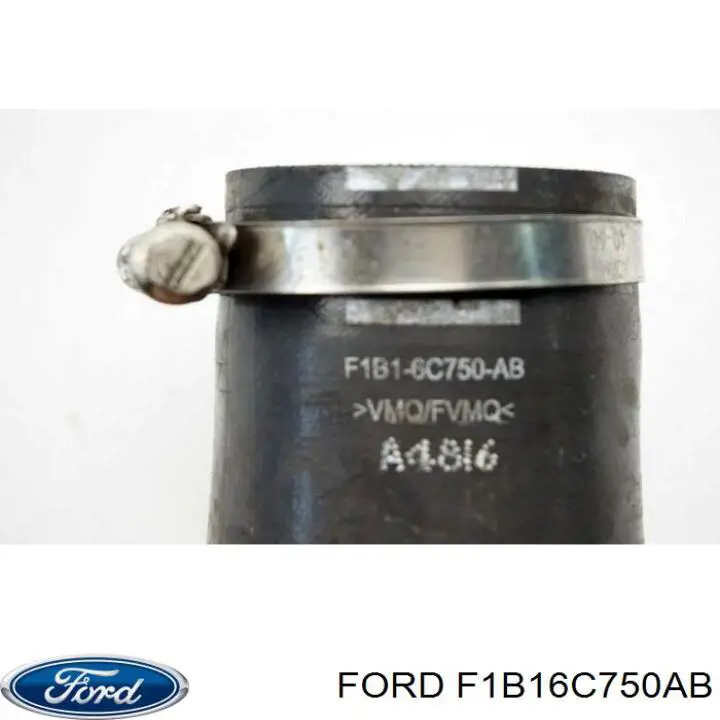  F1B16C750AB Ford