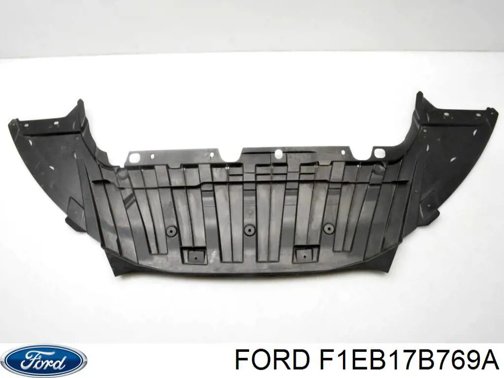 Защита бампера переднего на Ford Focus III 