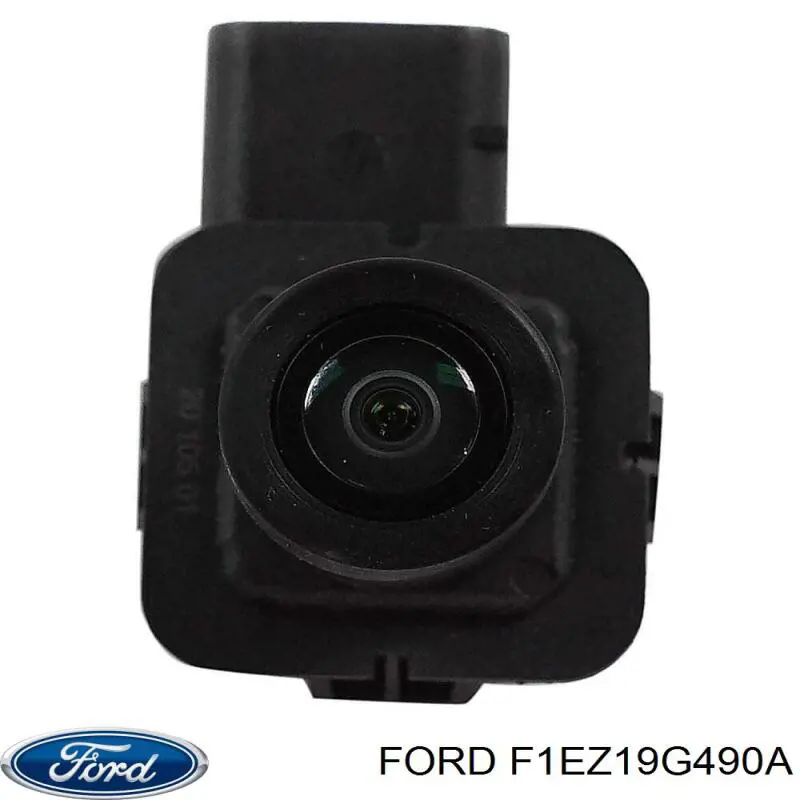  F1EZ19G490A Ford