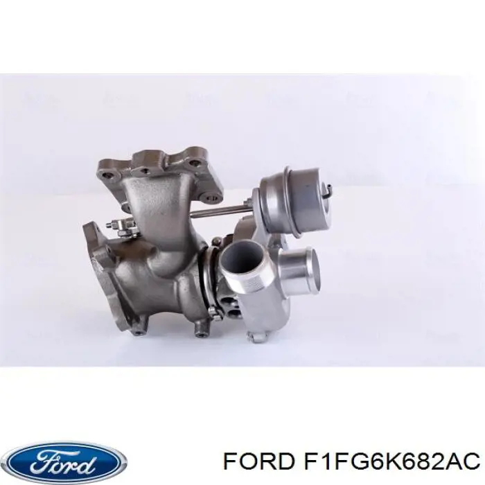  F1FG6K682AC Ford