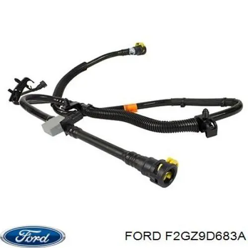 F2GZ9D683A Ford 