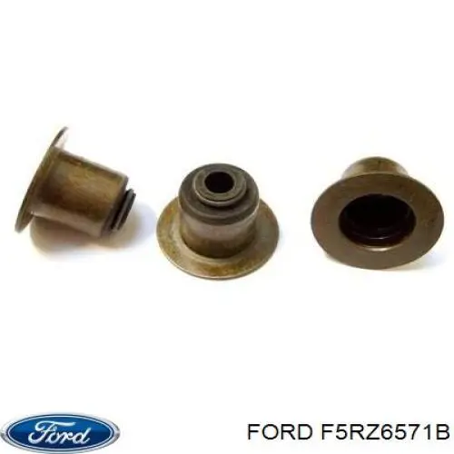  F5RZ6571B Ford