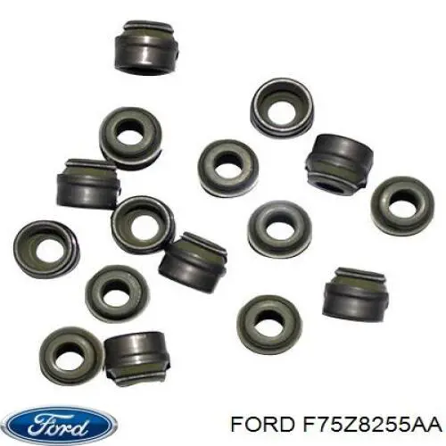  F75Z8255AA Ford