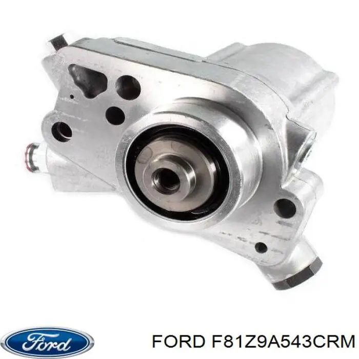 F81Z9A543CRM Ford