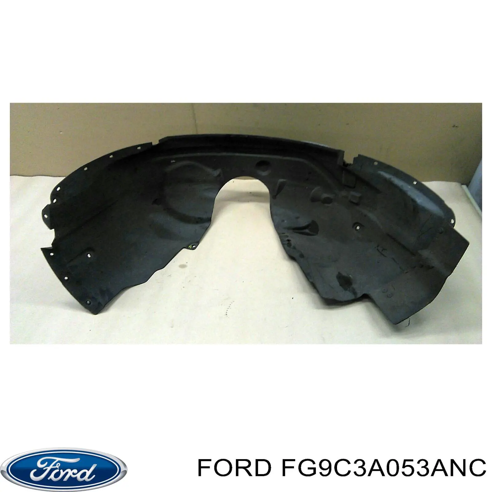  FG9C3A053ANC Ford