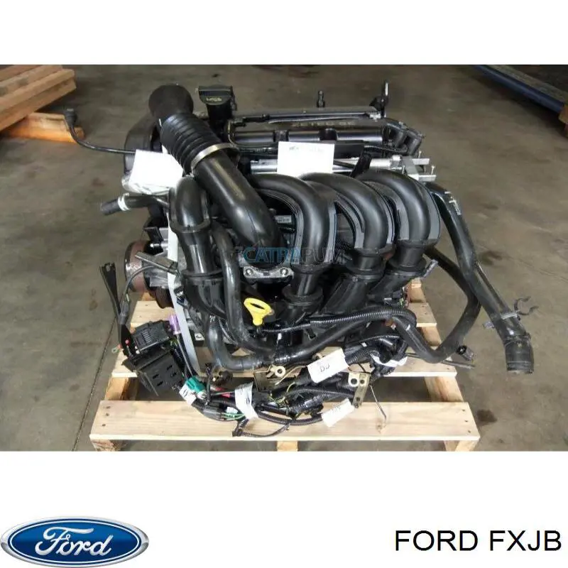 Купить FXJB Ford Двигатель голый