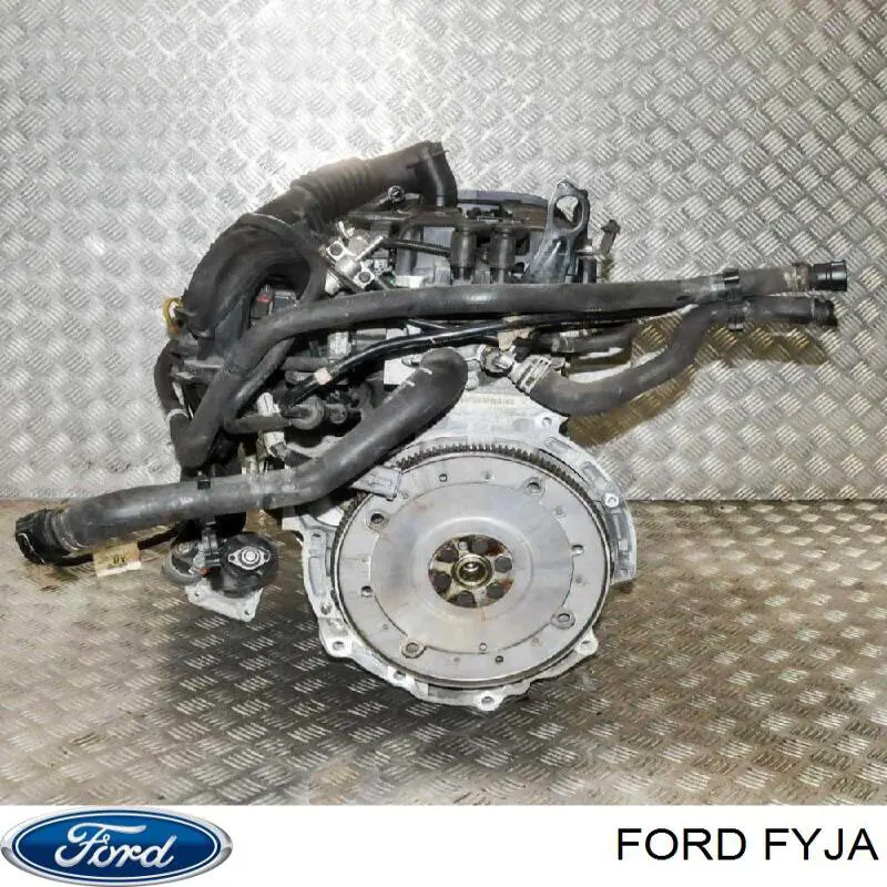 Двигатель в сборе FYJA Ford