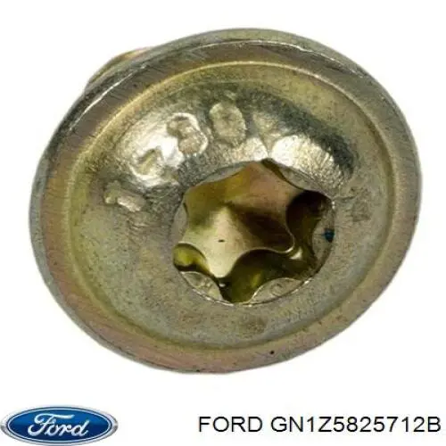  GN1Z5825712B Ford