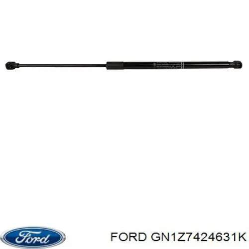 GN1Z7424631K Ford 
