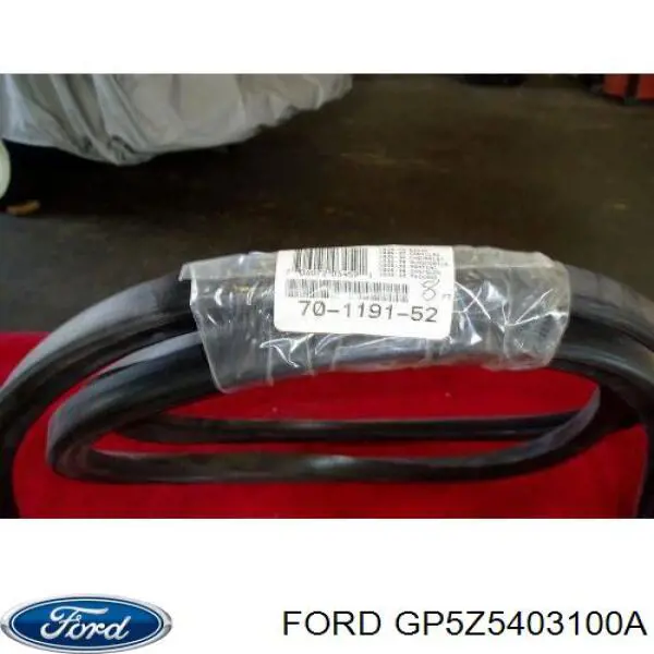 Автомобильные стекла Ford GP5Z5403100A