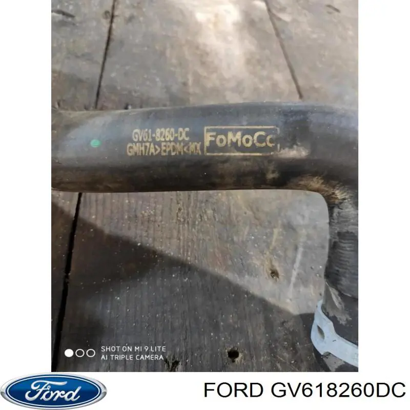 GV618260DC Ford 
