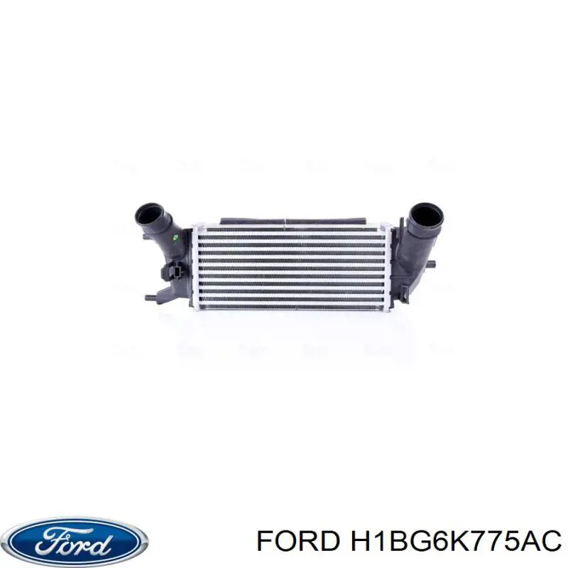 H1BG6K775AC Ford radiador de intercooler