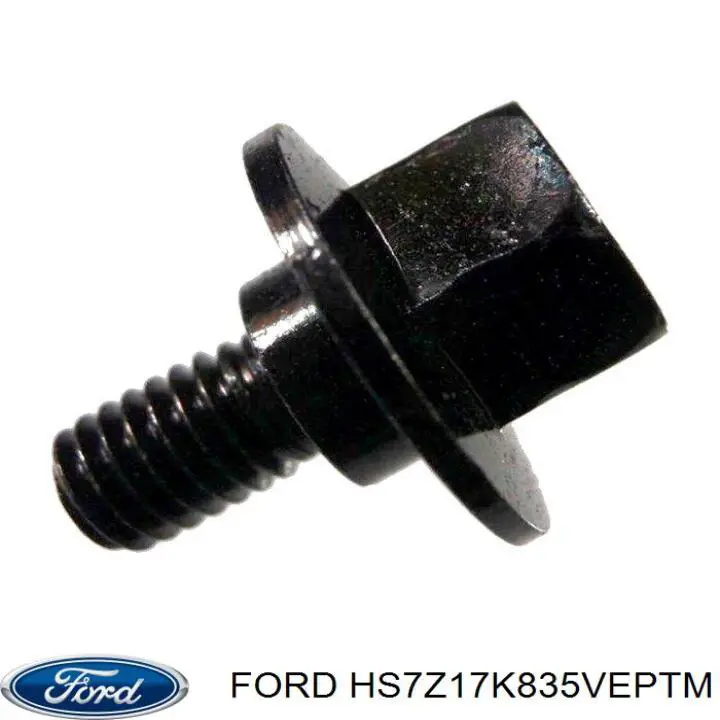 HS7Z17K835VEPTM Ford 