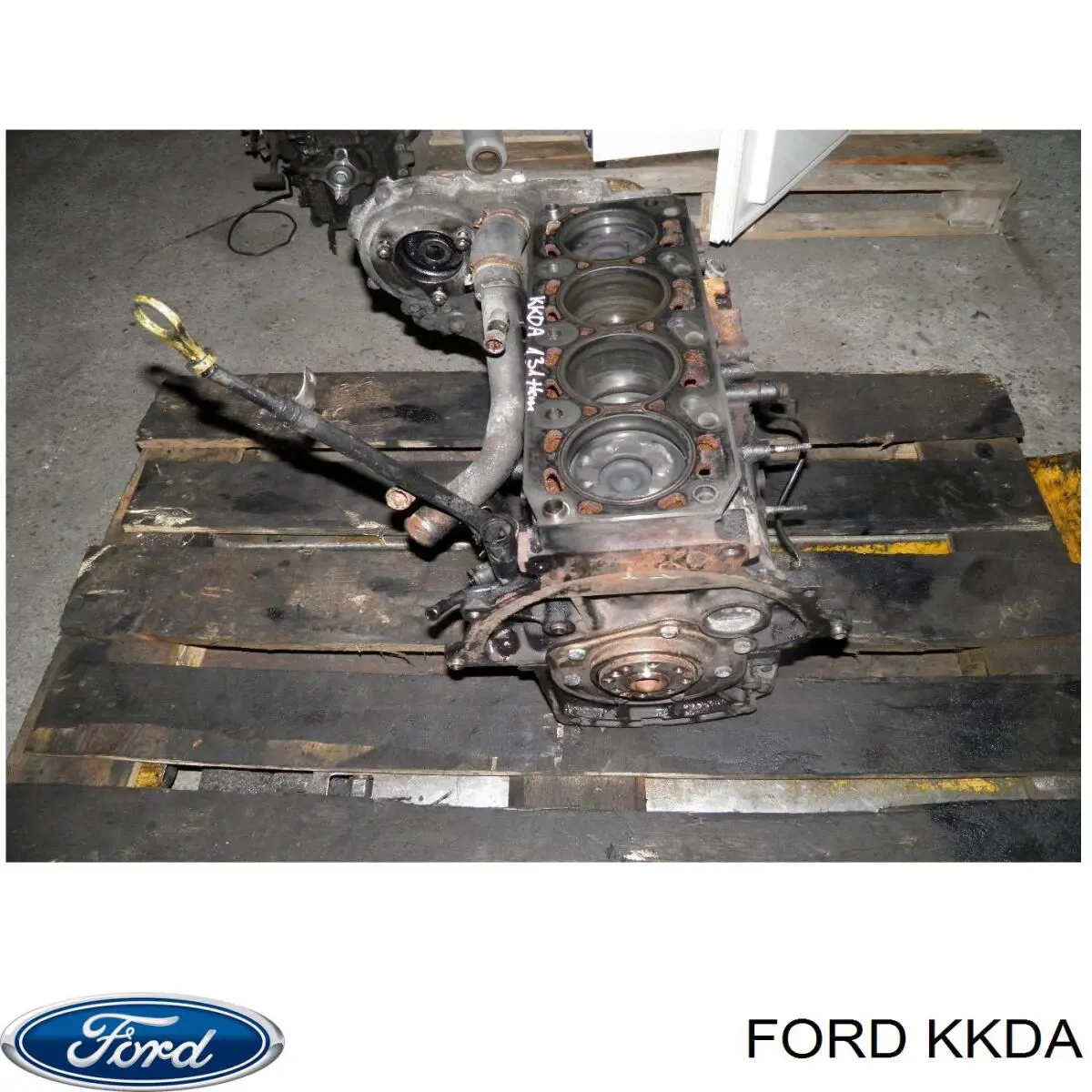 Двигатель KKDA Ford