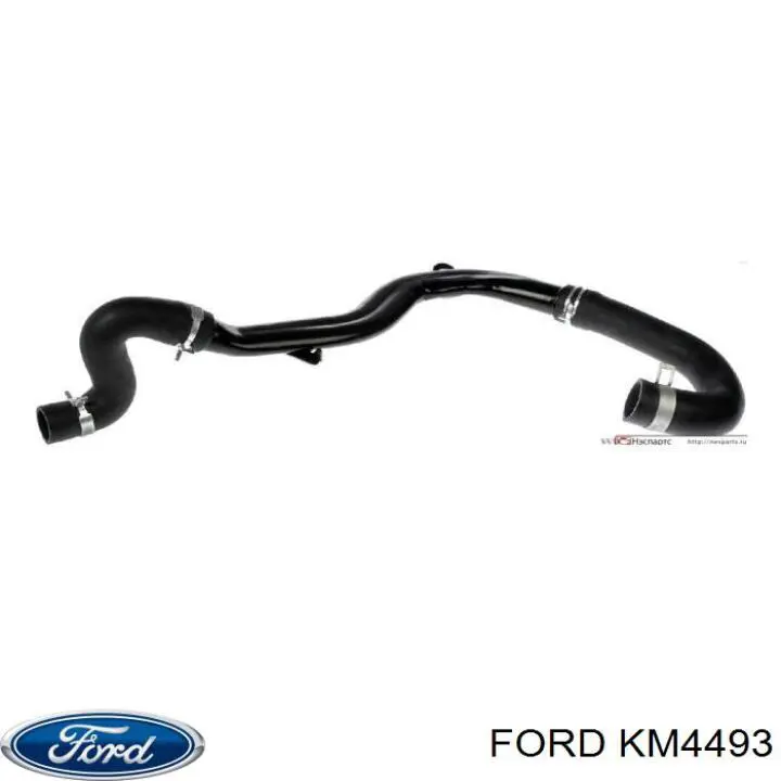 YS4Z 8286 CA Ford Шланг (патрубок) радиатора охлаждения нижний