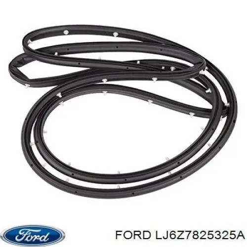 LJ6Z7825325A Ford 