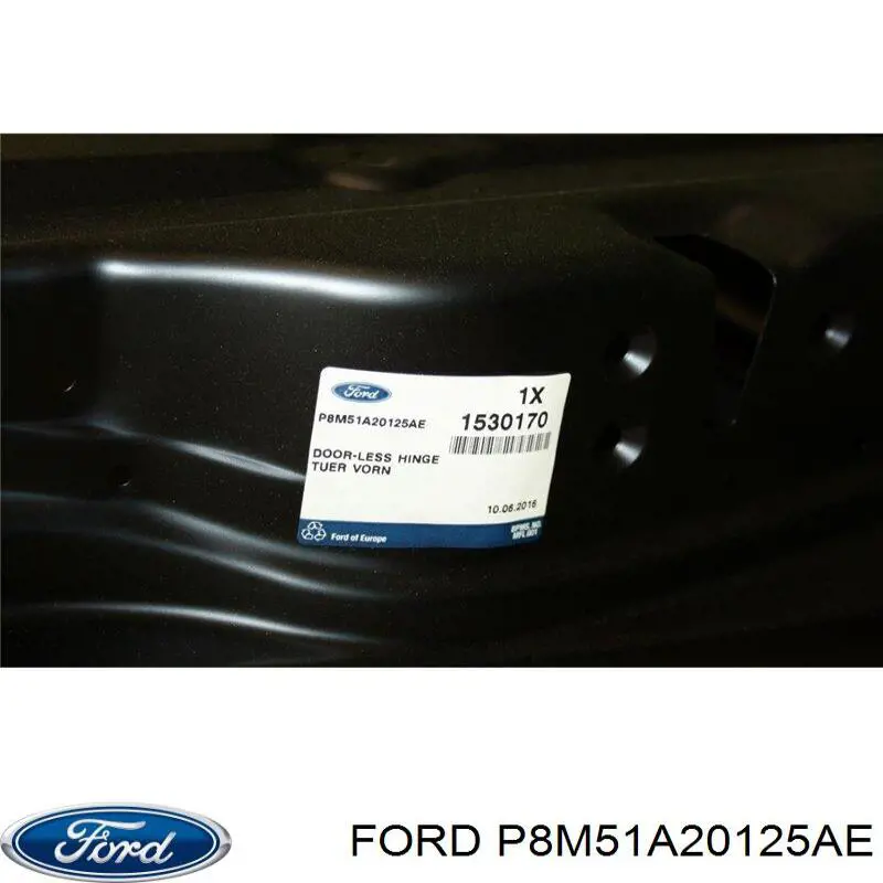 P8M51A20125AE Ford Водительская дверь