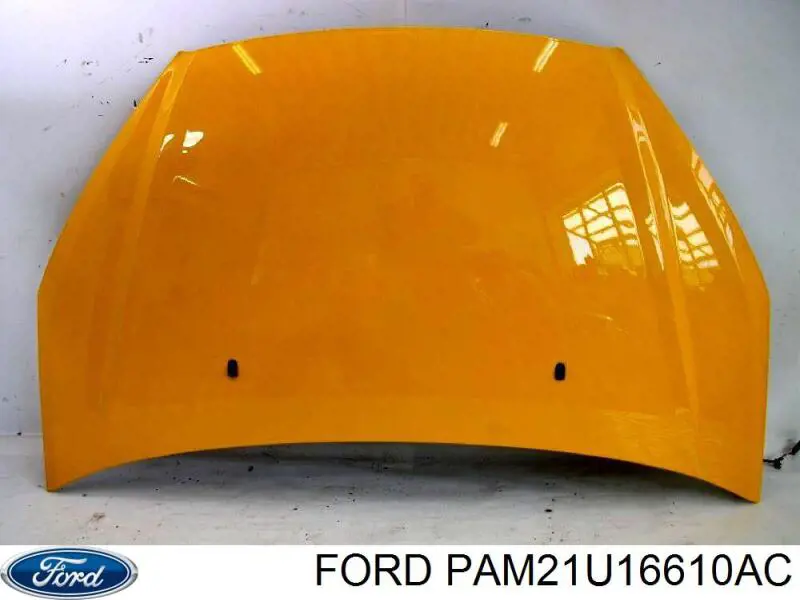 Капот PAM21U16610AC Ford