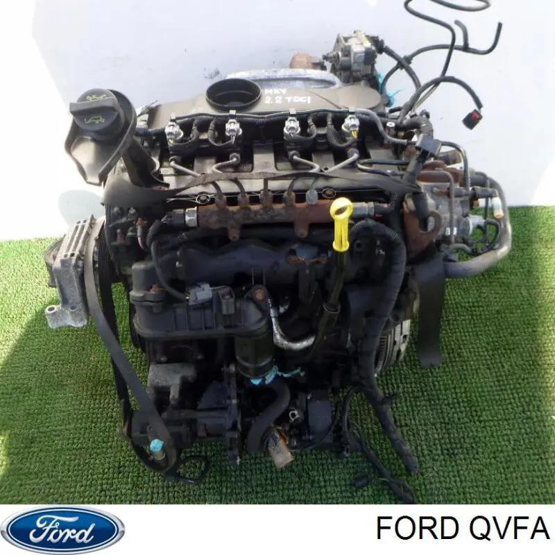 QVFA Ford Мотор в сборе