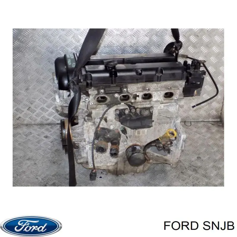 SNJB Ford Мотор в сборе