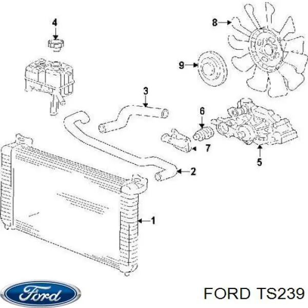 Купить TS239 Ford Пыльники шрусов
