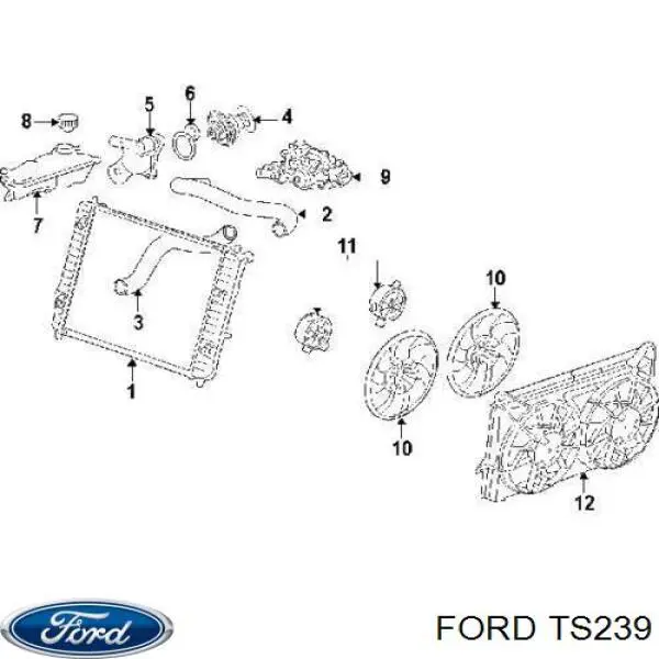 TS239 Ford Пыльники шарниров угловых скоростей передних, комплект